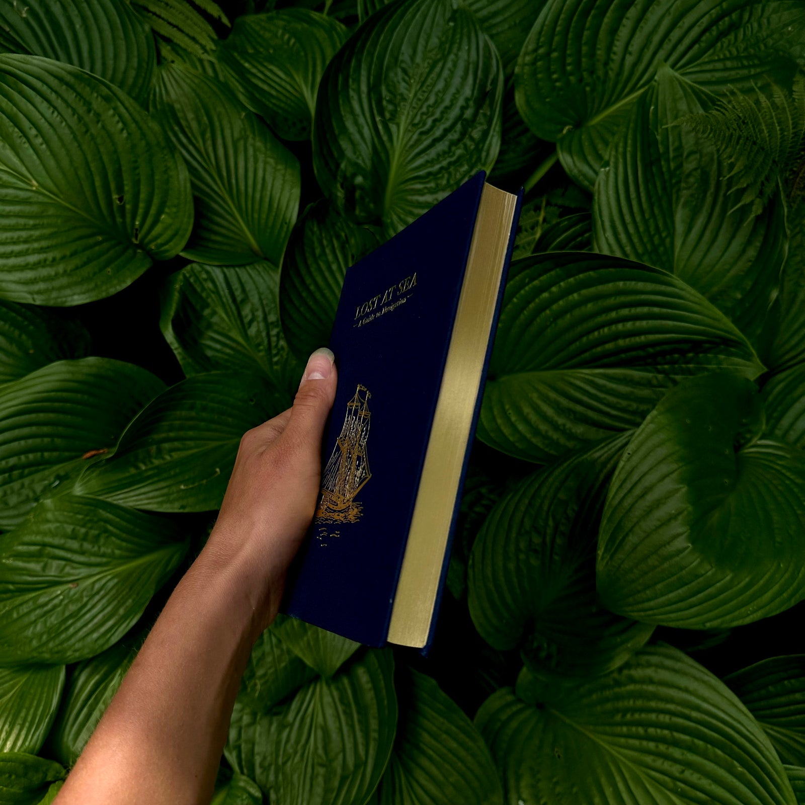 Lost At Sea Journal