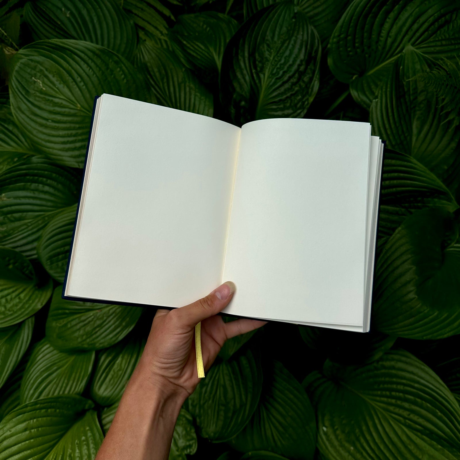 Lost At Sea Journal